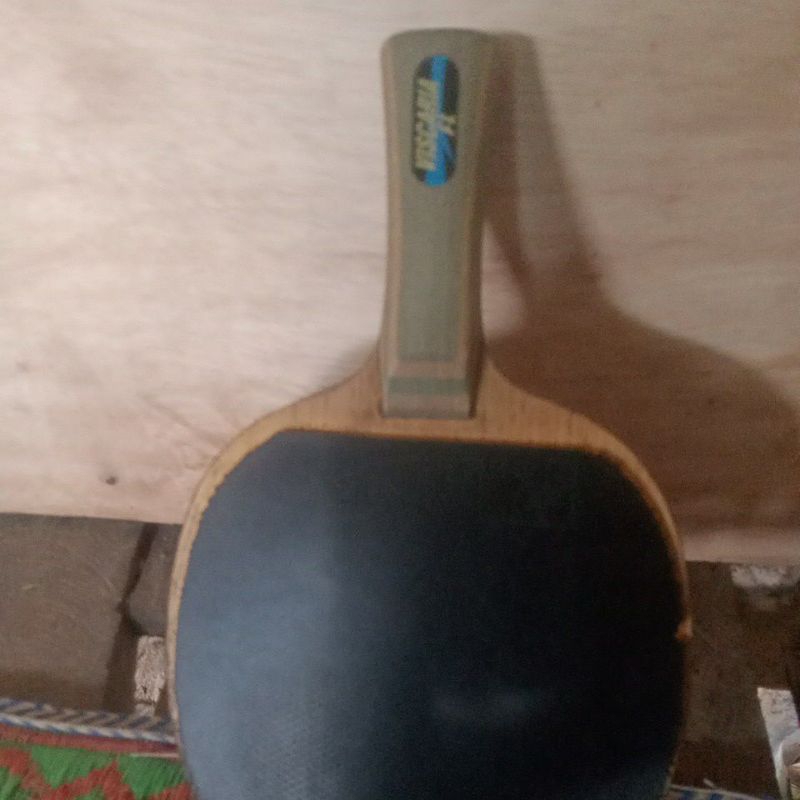 Butterfly viscaria FL