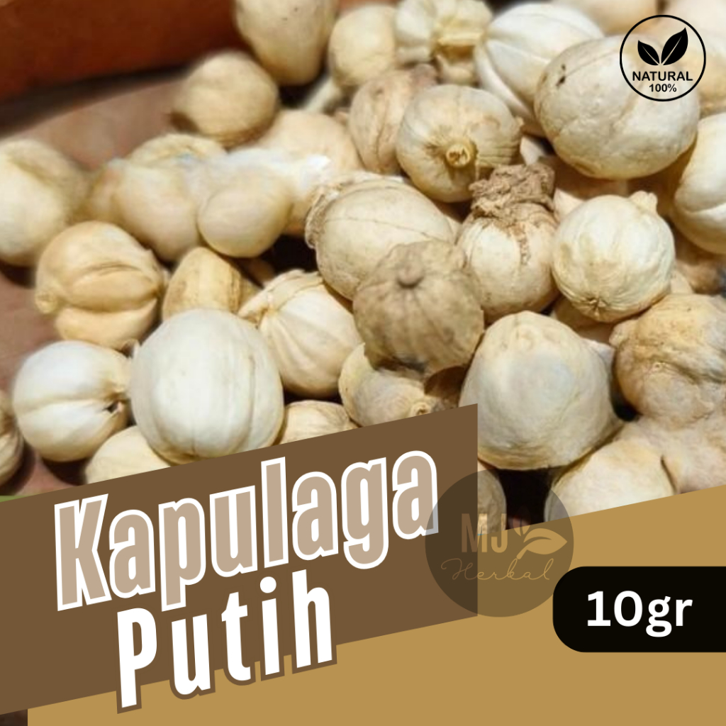 

Kapulaga Putih (White Cardamom) 10gr Dalam Kemasan Pouch Klip Cantik.