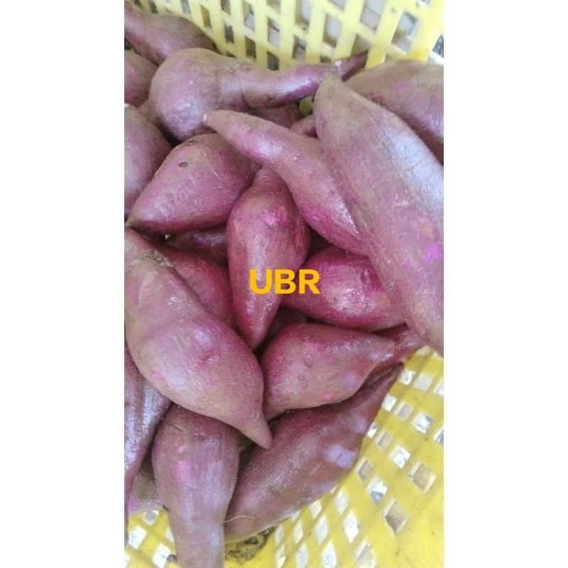 

UBI UNGU MADU ISI 1 KG (UBR)