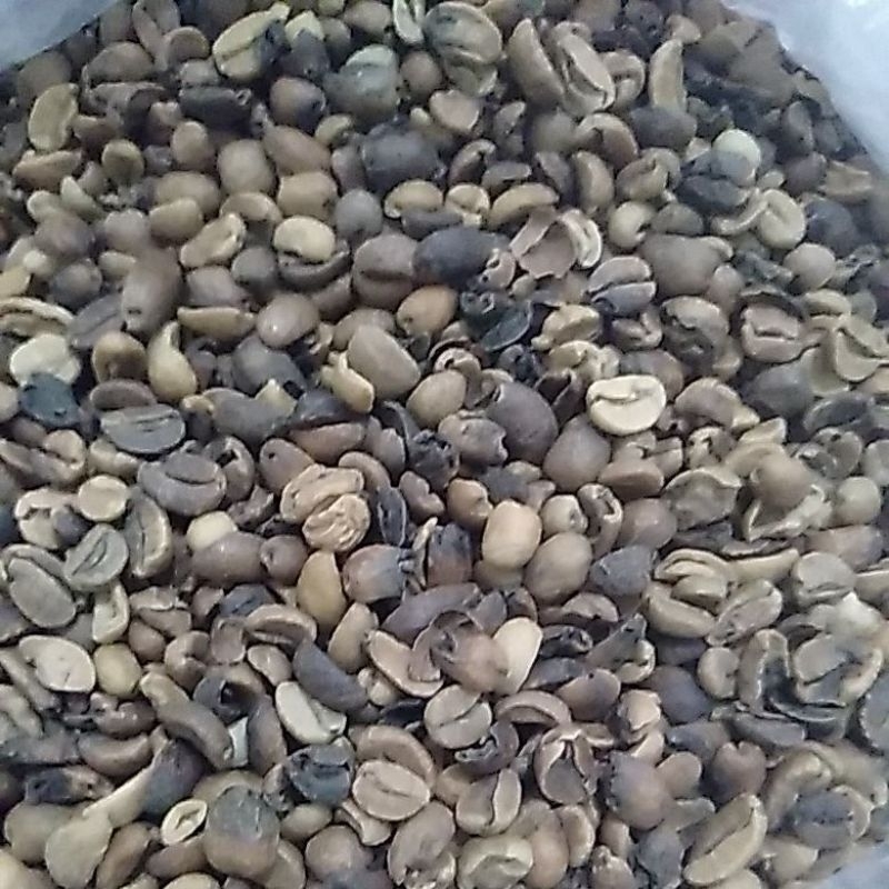 

kopi arabica cabutan wine