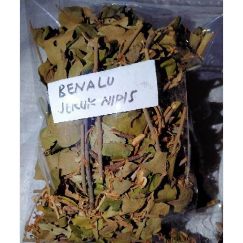 

Benalu Kering Kelor Dan Jeruk Obat Herbal Kanker + Rumor 180 Gram Murah