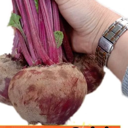 

BUAH BEET ROOT/ BIT SEGAR 1KG. BEETROOT FRESH