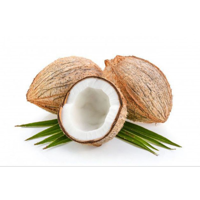 

KELAPA SANTAN SATU BUTIR