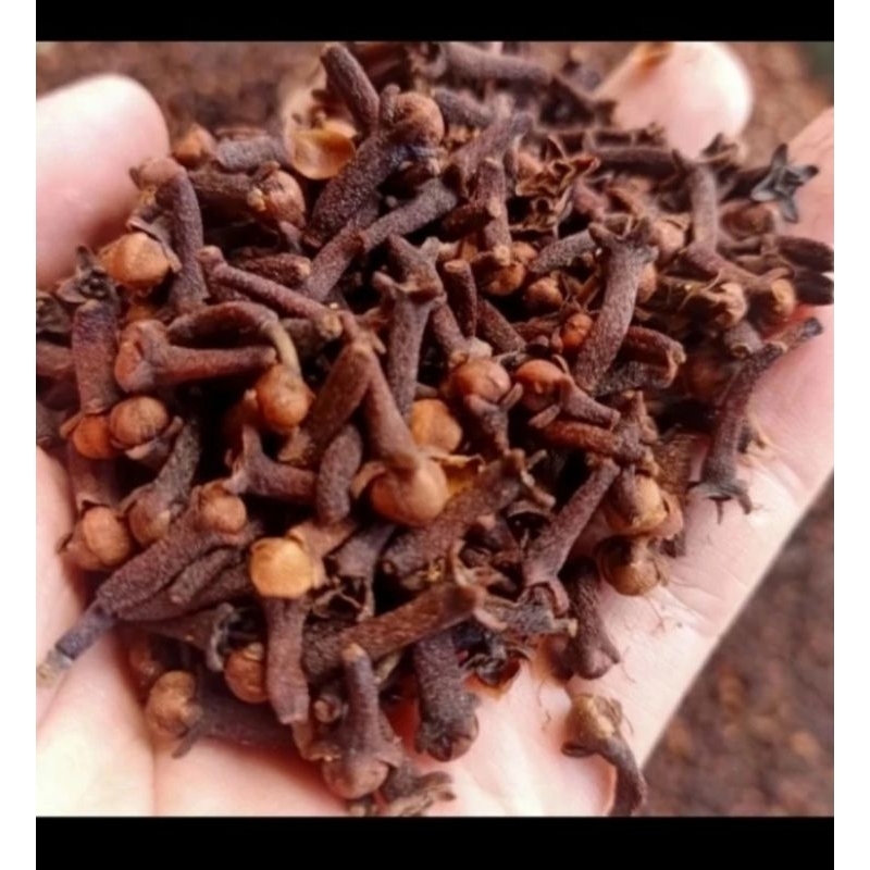 

Cengkeh 100 gram