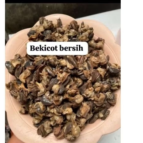 

Daging bakicot bersih