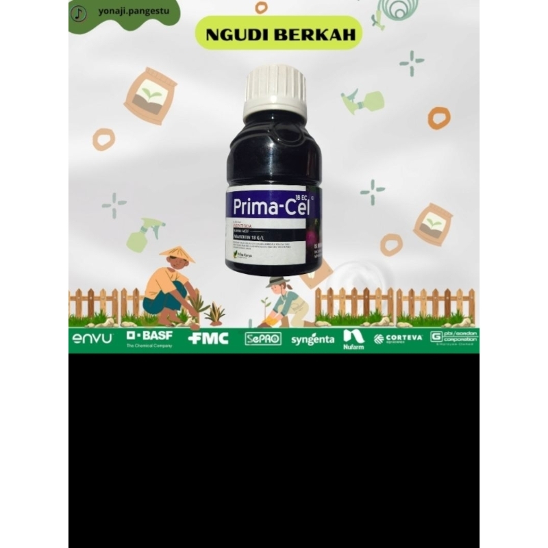 primacel obat hama penyebab daun tanaman kriting