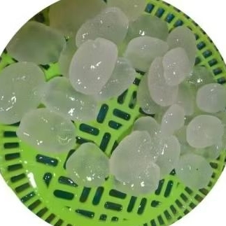 

buah atep ,kolang Kaling fresh 500 gram