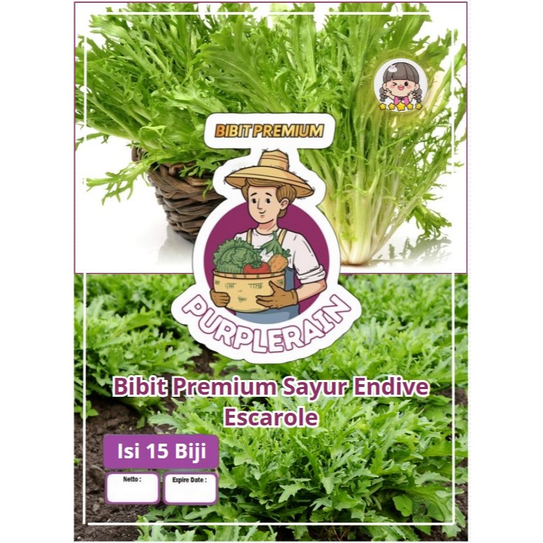 Bibit Premium Sayur Endive Escarole | Benih Sayur Endive Andewi
