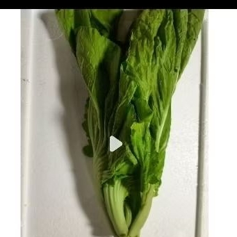 

sawi pait fresh 500 gram