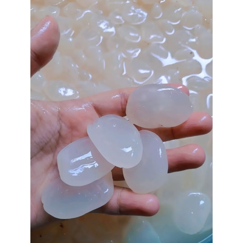 

Kolang Kaling super segar 1kg/Kolang Kaling Mentah (caruluk-cangkaleng)