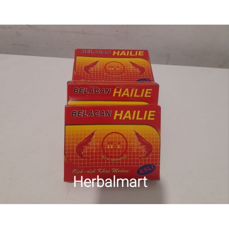 

terasi hailie