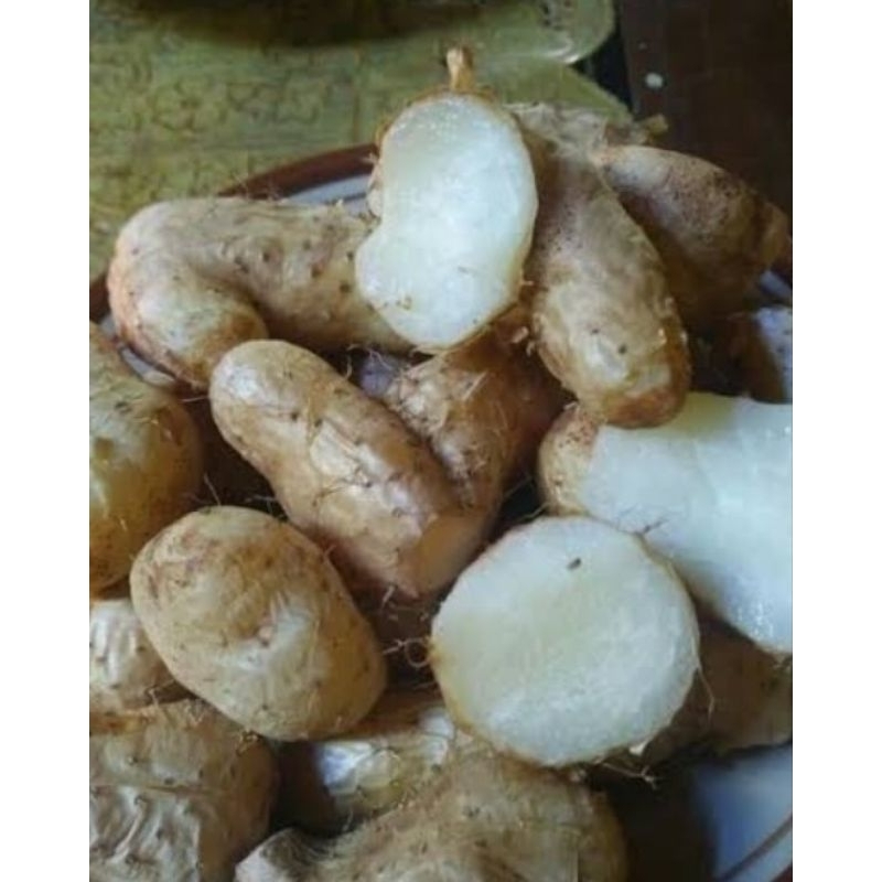 

mbili Wonogiri,sangat lezat banget 500 gr