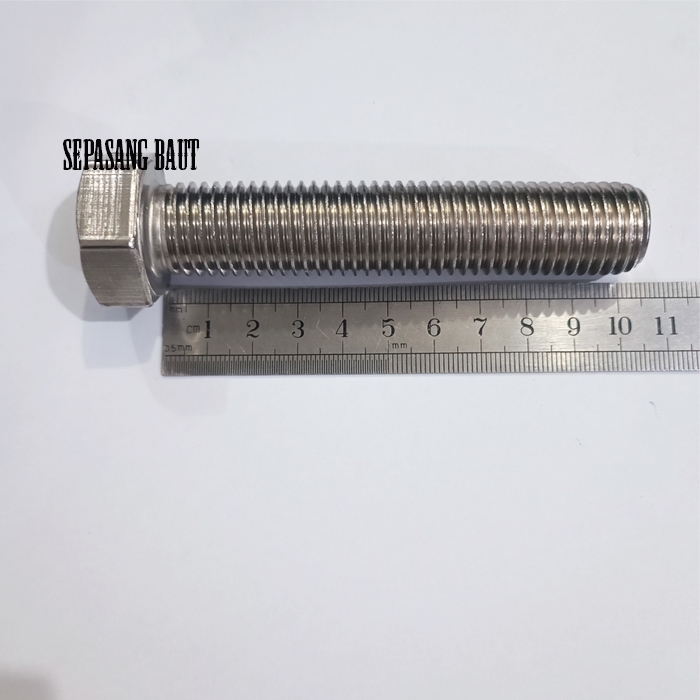 M20 x 100 Baut Hexagon Stainless 304 M20x100