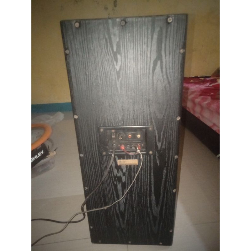 subwoofer Polytron psw 500c 600w original