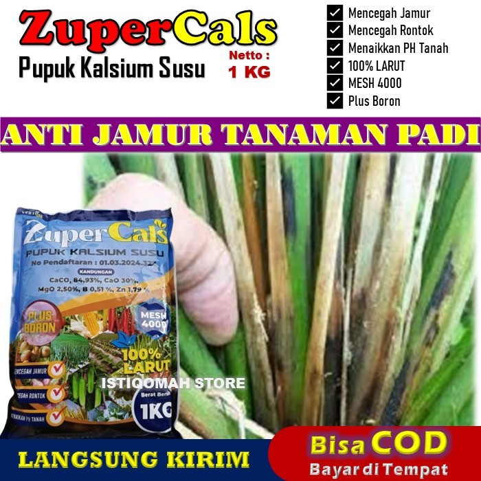 ZUPERCALS 1 KG - Pupuk Kalsium Susu Anti Jamur Tanaman Padi Paling Ampuh, Meningkatkan Ketahanan Pad
