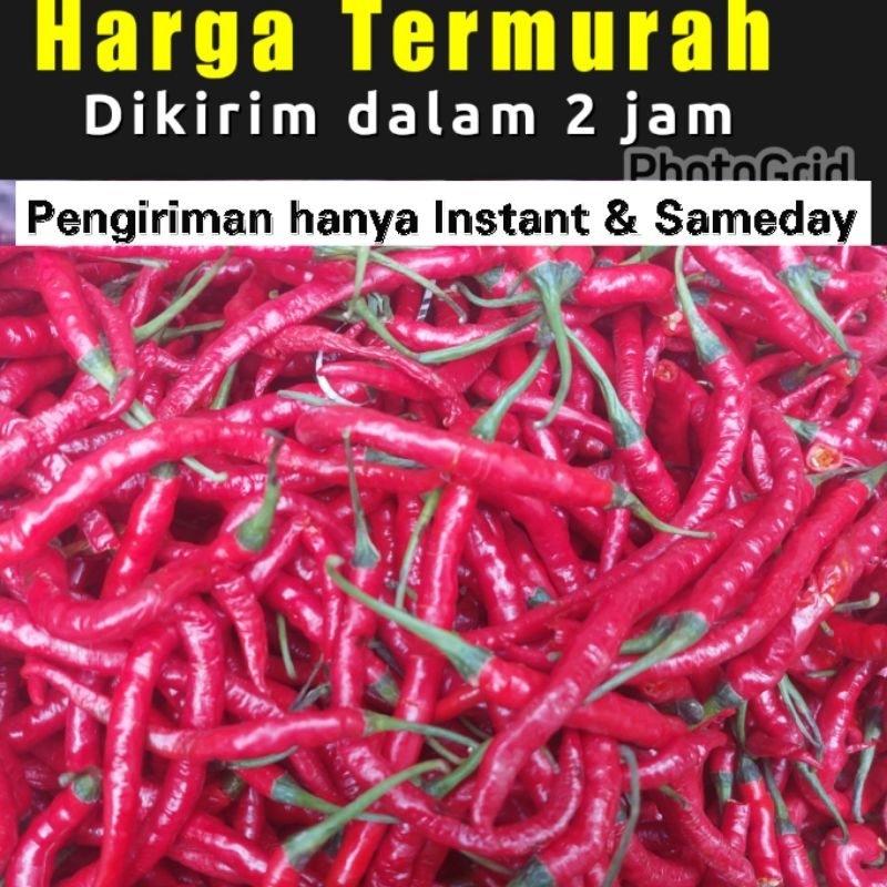 

CABE Merah Keriting 250 gram