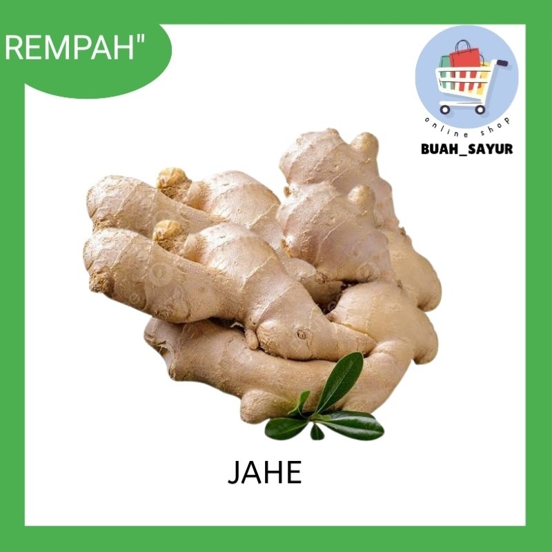 

Jahe Putih super /jahe gajah