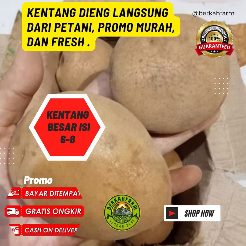 

kentang 1 kg ukuran besar ready