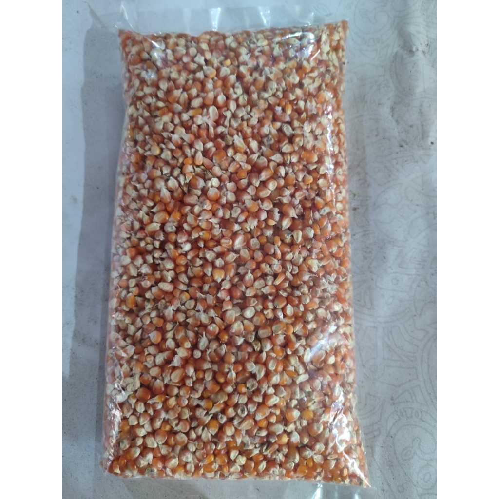 Jagung Pipil Kecil Super Premium