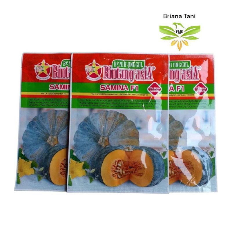 Samina 10gr Benih Waluh Labu  Kuning Super Jumbo Bintang Asia Suprema