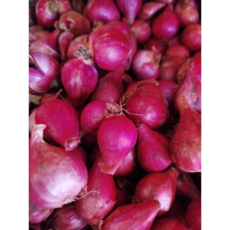 

Bawang Merah asli brebes