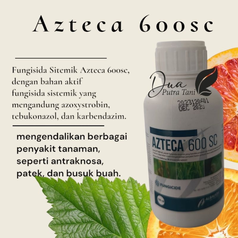 fungisida Azteca 600 SC 100 ml
