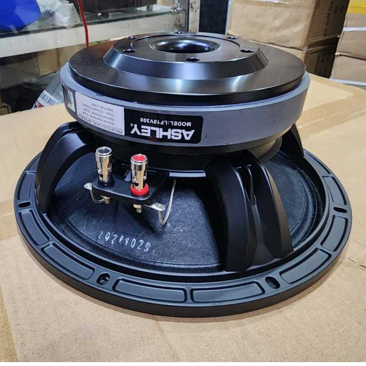 speaker ashley LF10V300 / 10V300 / LF10 V300 10inch LINE ARRAY
