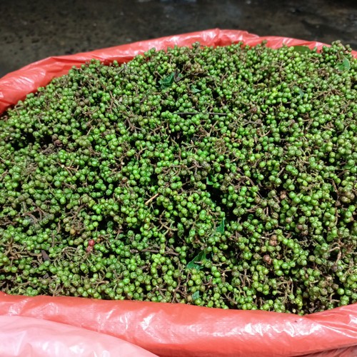 

Andaliman Segar Andaliman Raya Bumbu Masakan Khas Medan 100 Gram