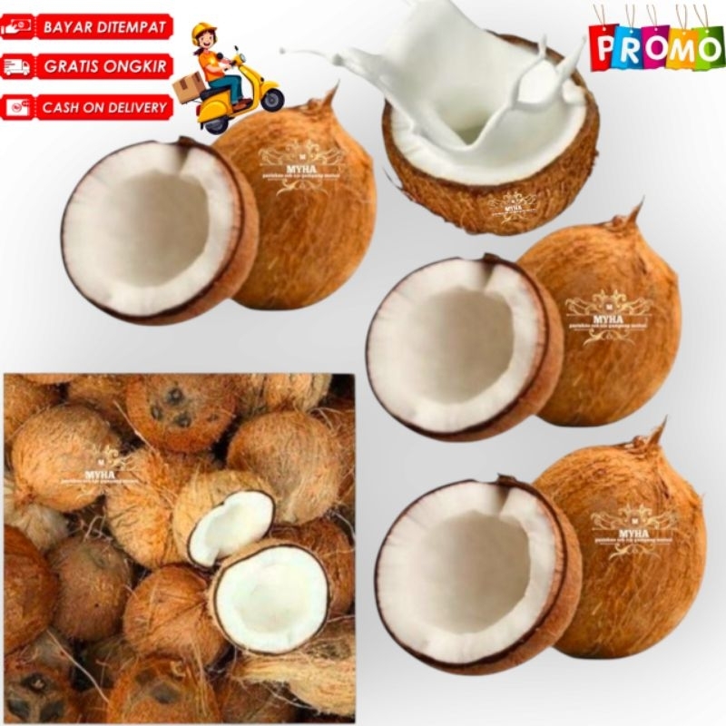 

kelapa tua Santan bumbu dapur Superan Best seller