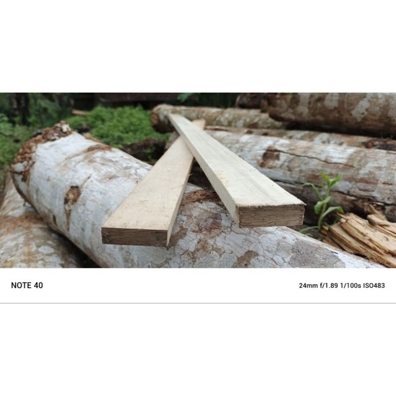 LIST KAYU TIPIS CEMPED 1,5 X 5 PANJANG 200 CM KAYU SUDAH DI SERUT HALUS