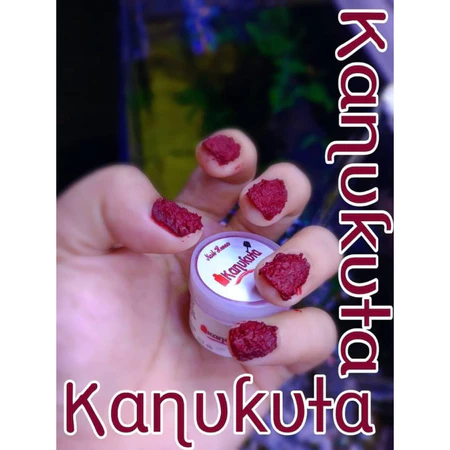 Henna Kuku Kanukuta asli BPOM / KANUKUTA Nail henna BPOM Maroon isi 10ml Makassar