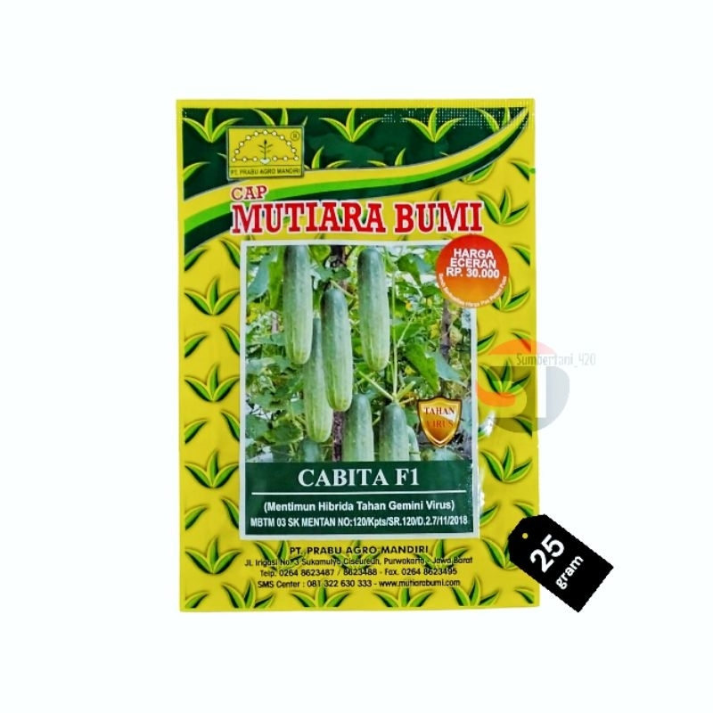 Benih Timun Hijau Hybrida CABITA F1 25gram Cap MUTIARA BUMI