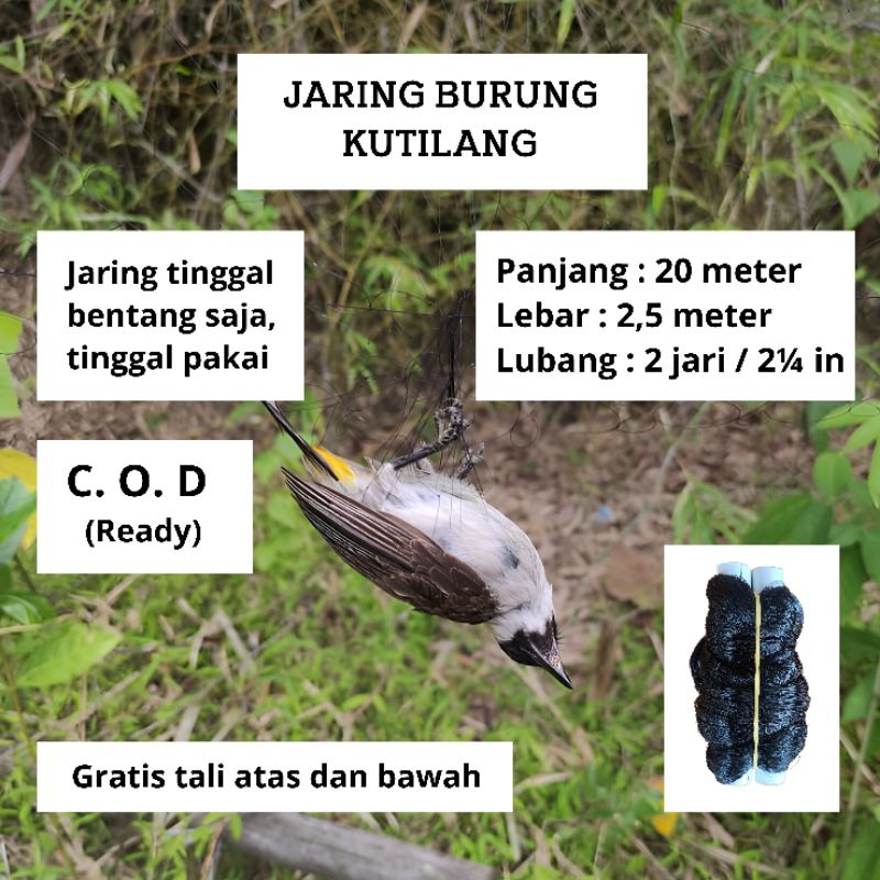 PIKAT JEBAKAN BURUNG KUTILANG JARING BURUNG SIAP PAKAI JARING WARNA HITAM JARING MONTANA