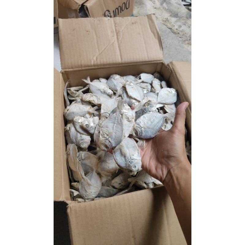 

IKAN ASIN PETEK MURAH ISI 1000GR FREZZZ KWALITAS SUPER #IKANASINTEGAL #IKANASIN #GESEK