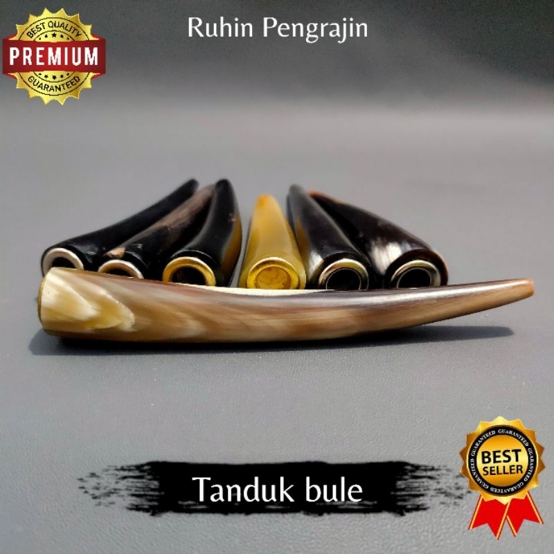 once pipa tanduk kerbau bule glowing