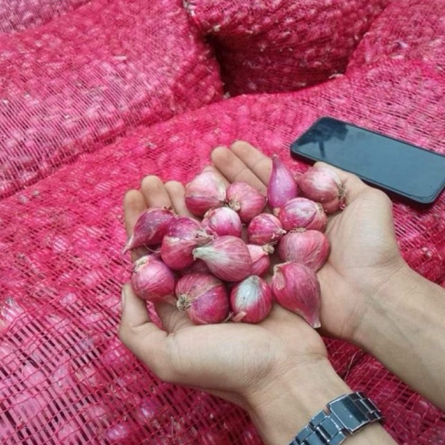 

bawang merah asli 250gr bekualitas