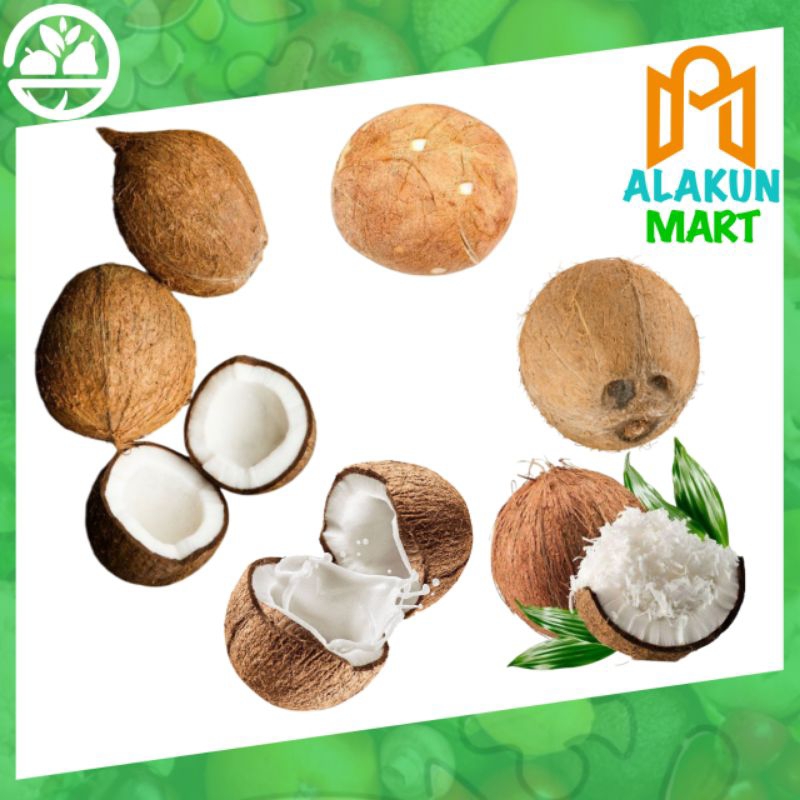 

Kelapa utuh / parut / santan fresh bahan bumbu dapur olahan makanan sayuran alakunmart bogor