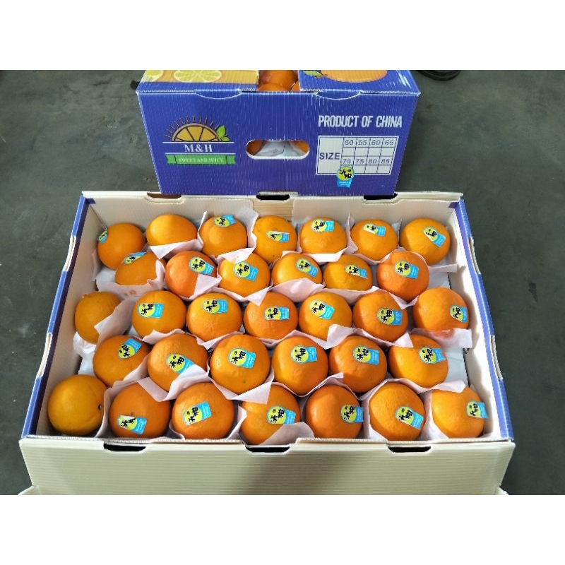 

Jeruk wogam manis 1kg dan jeruk wogam daun 1kg