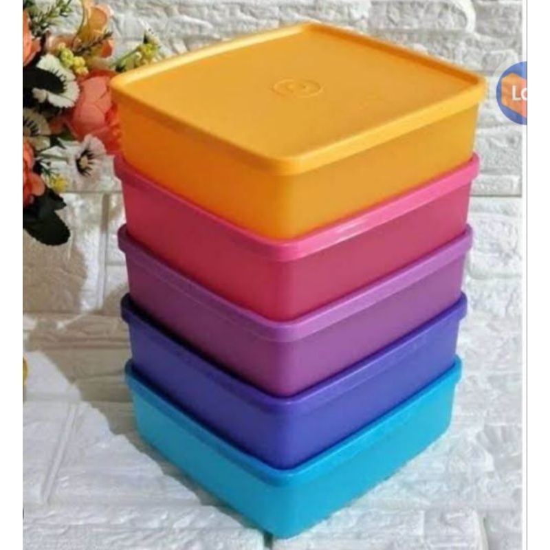 Large Square Away & Square Away Tupperware /Kotak Roti (1)