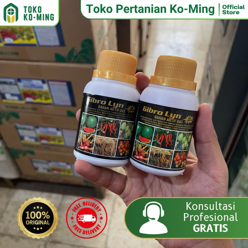 ZAT PENGATUR TUMBUH - PEMBESAR BUAH - GIBRO LYN - ZAT GA3