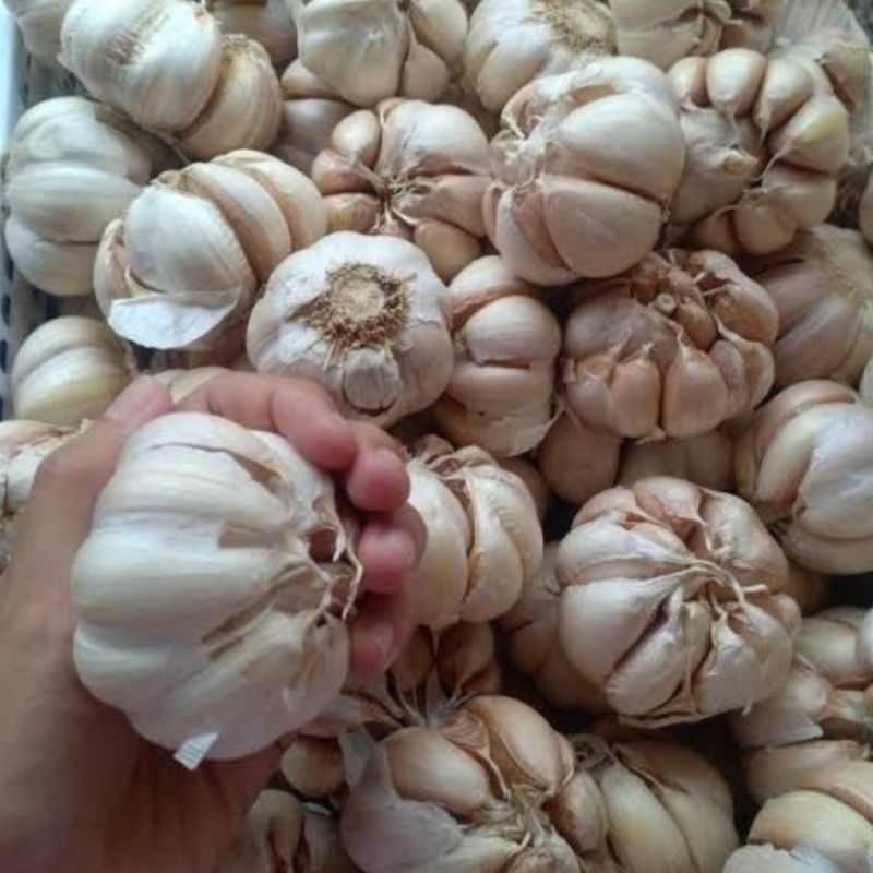 

Bawang Putih 1 Kilogram