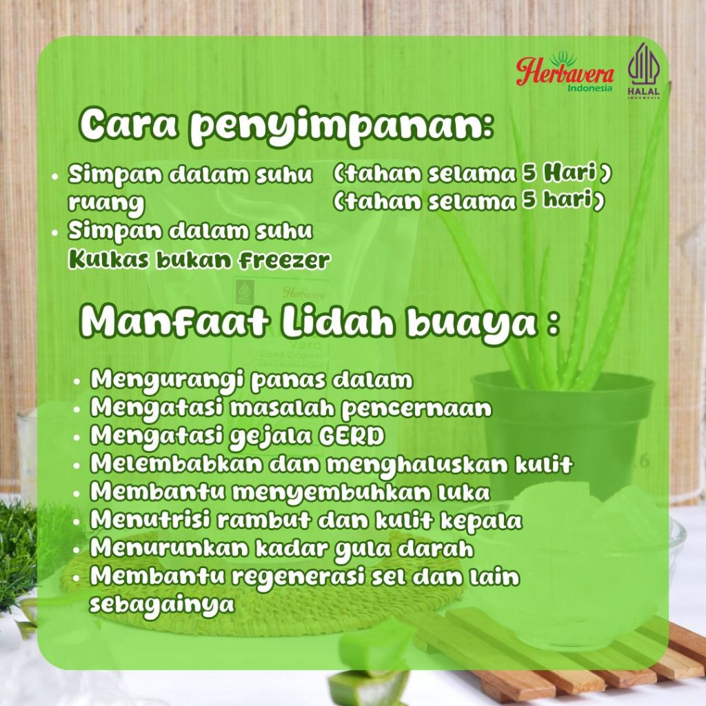 

RB22 Lidah Buaya / Aloevera Kupas 500 gram