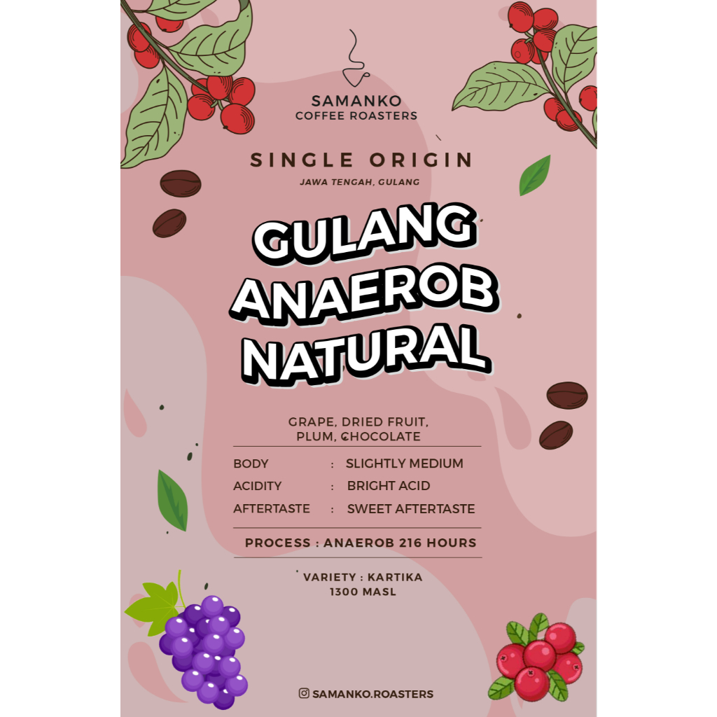 

Gulang Jawa Tengah Anaerob Natural