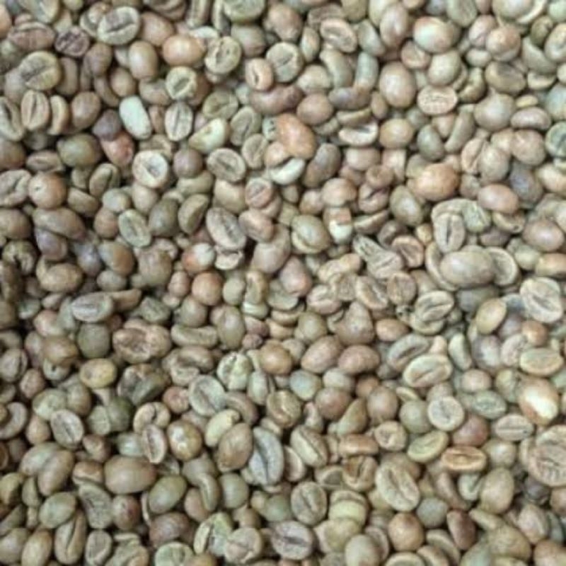 Green Bean Kopi robusta sidikalang Grade 1 biji kopi mentah robusta original siap roasting kopi sidi