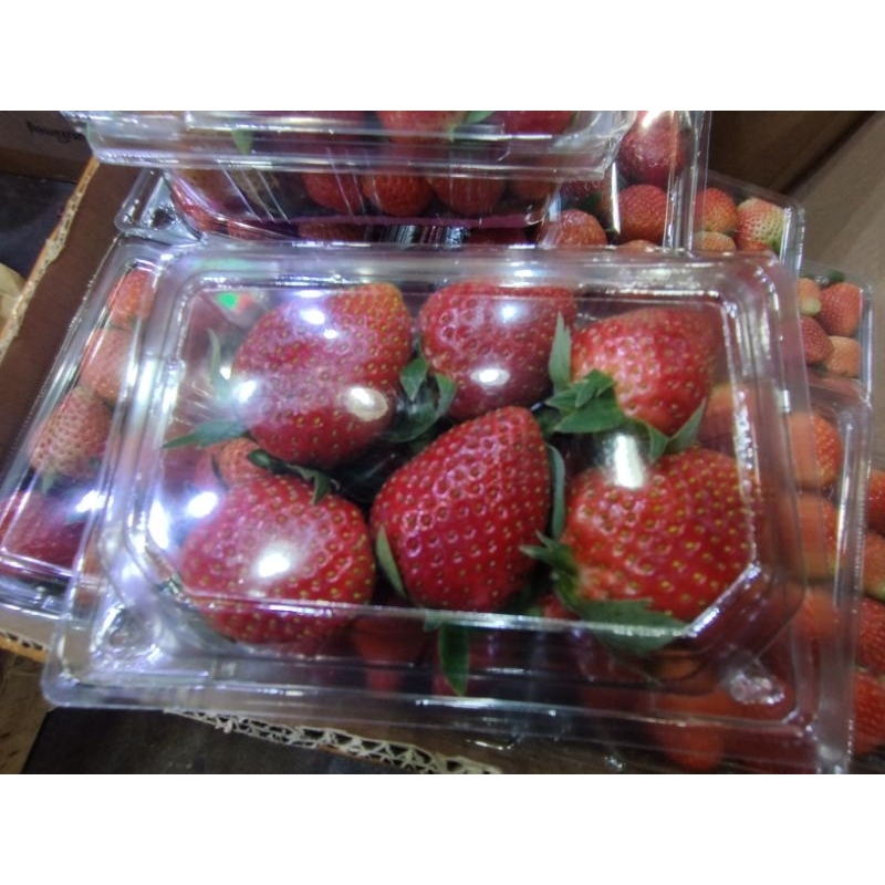 

strawberry pack fresh