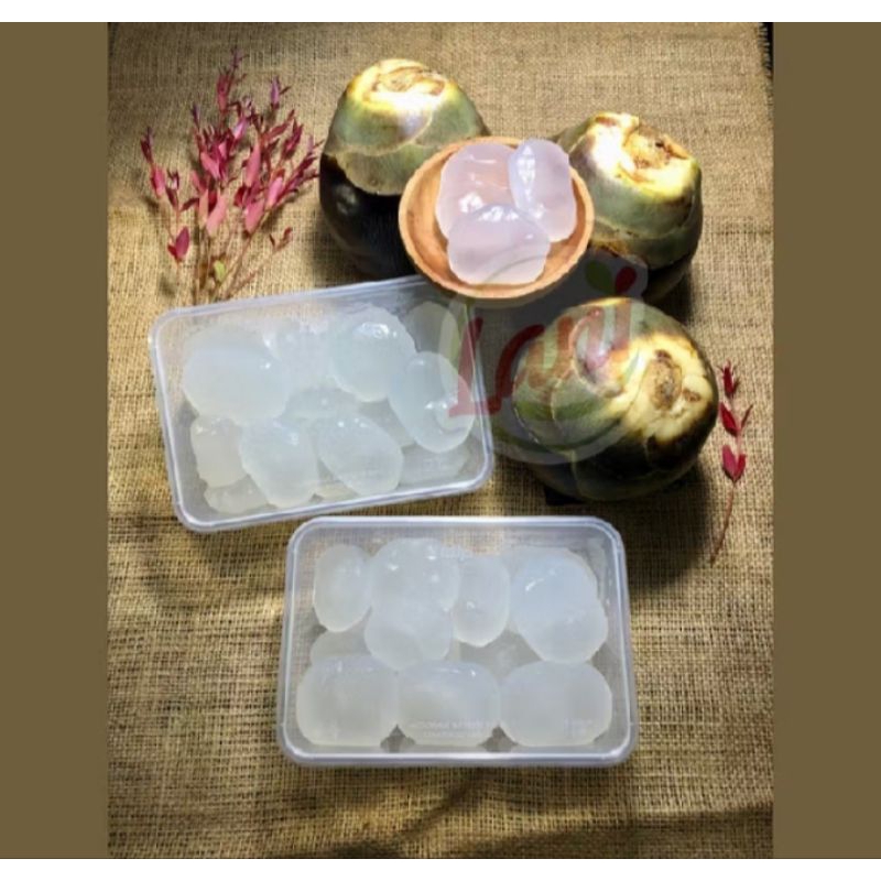 Buah Lontar Permata Segar Premium