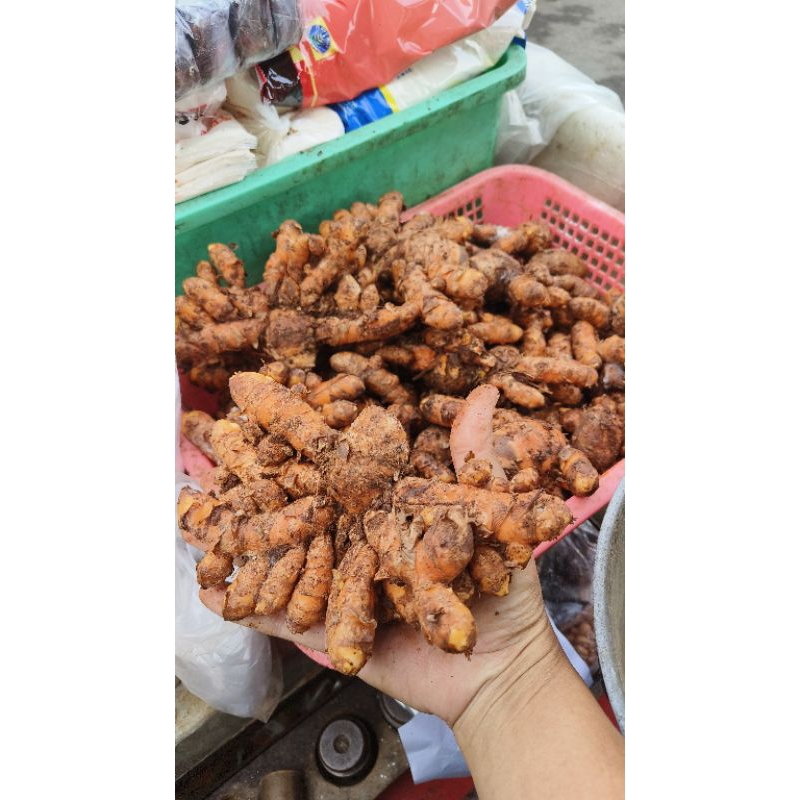 

250 gr empon empon bumbu pawon/ dapur rempah rempah laos lengkuas kunyit kunir sere semarang