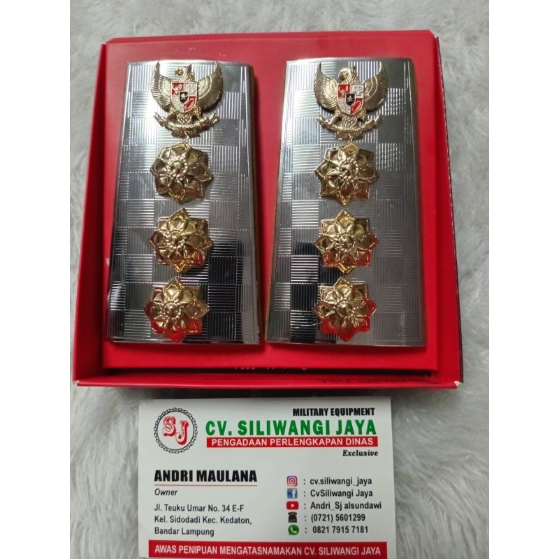 Pangkat PDH Bupati & Wakil Bupati Terbaru