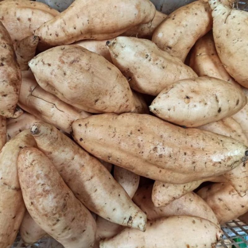 

1Kg Ubi Madu Cilembu Kuning Manis | 1 Kilogram