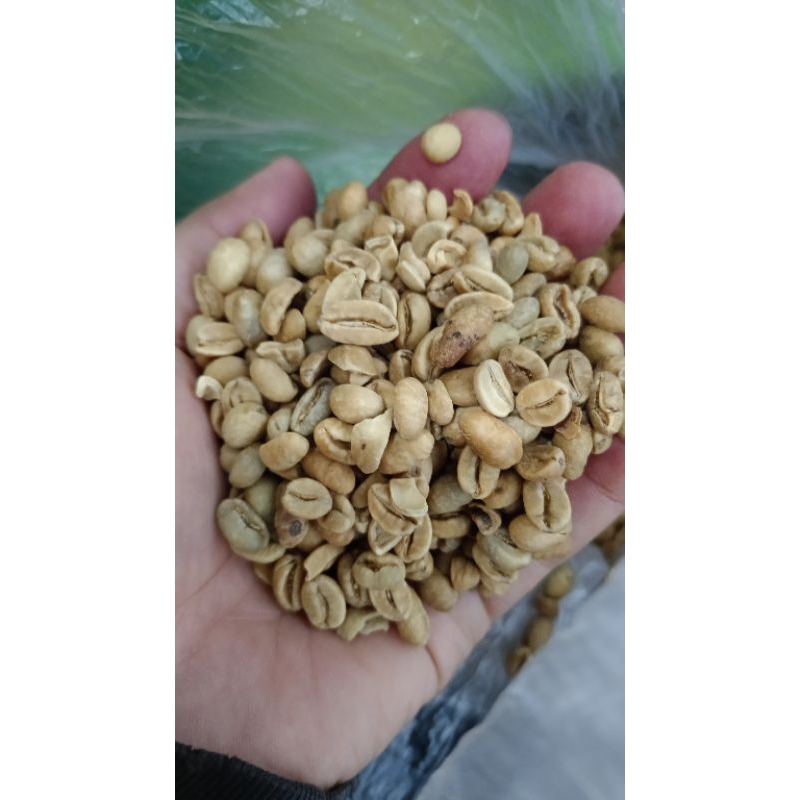

kopi arabika greenbean natural